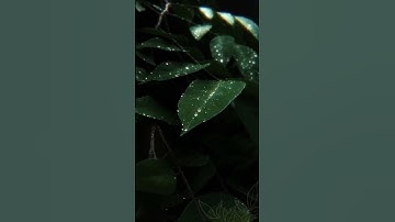 Java LinkedList #Java #LinkedList #Coding #collections #Programming #DataStructure #Developers #Tech