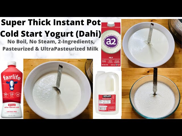 2 Ingredients Cold Start Instant Pot Yogurt(No Boil, No Steam)| Thick Indian Yogurt In Instant Pot class=