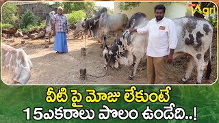 Vemuluripadu Ongole Bulls Farming | వీటి పై మోజు లేకుంటే 15 ఎకరాలు పొలం ఉండేది..!! Tone Agri
