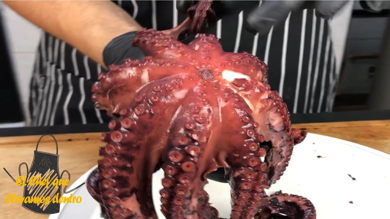 Como cocer Pulpo Correctamente