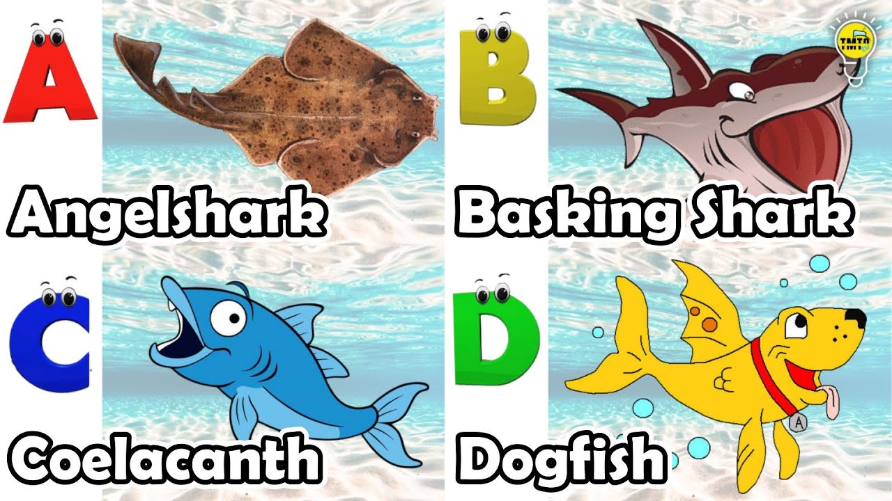 ABC phonics animals | ABC Sea Animals song | English and Animals for ...