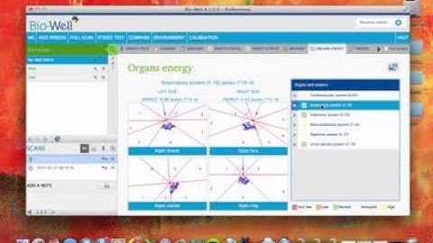 Bio-Well Tutorial: Organs Energy View Features