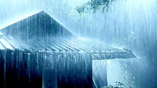 Relieve Stress Immediately to Sleep Soundly with Heavy Rain & Thunder Sounds on a Tin Roof at Night