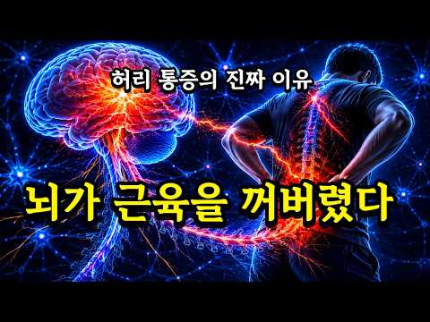 뇌가 근육을 꺼버렸습니다. 오래 앉으면 허리 아픈 진짜 이유 (실제 수업 공개) 영상 썸네일