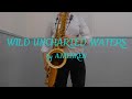 【サックス】まだ見ぬ世界へ Wild Uncharted Waters