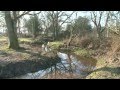 Restoring New Forest streams