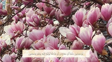 57 سورة التوبة الآية