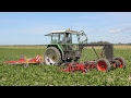 Special Custom Fendt 275GT | Hoeing chicory | ''Mechanisch Schoon''