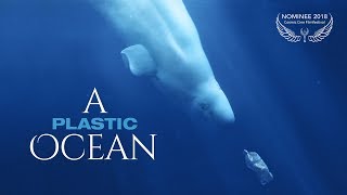 A PLASTIC OCEAN // Trailer Deutsch [HD]