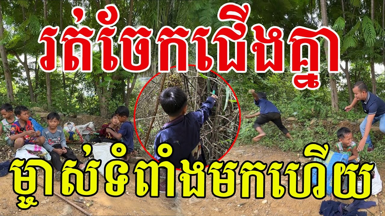 ឆ្លាតៗណាស់ក្មួយ ដើររកទំពាំងផ្គត់ផ្គង់ការសិក្សា