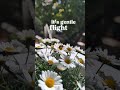 Small moments