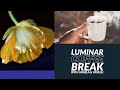 Luminar Coffee Break: Add visual interest with contrasting colors