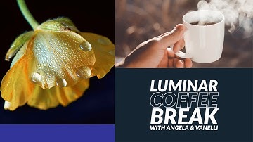 Luminar Coffee Break: Add visual interest with contrasting colors