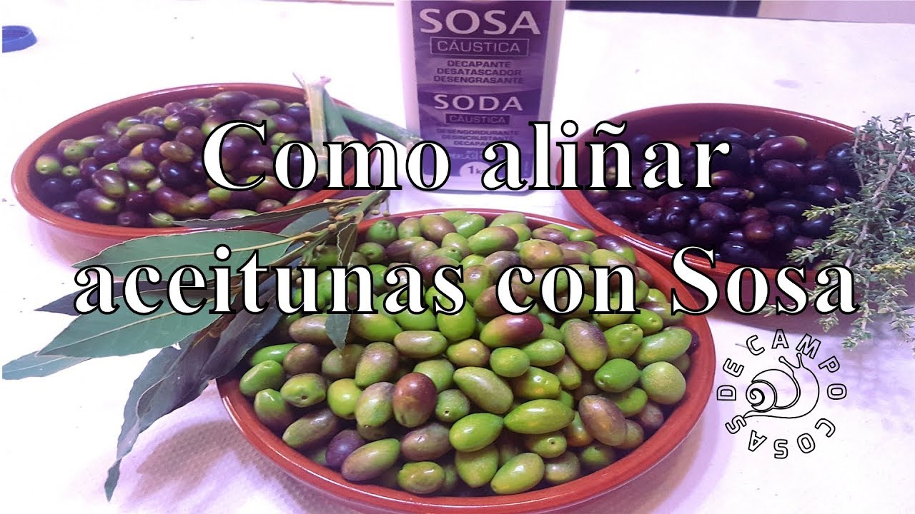 Como hacer aceitunas con sosa