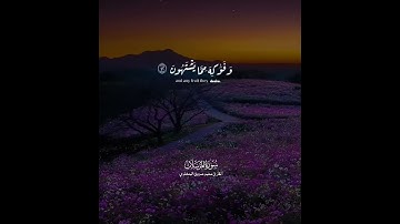 تلاوة هادئة ومريحة 😴❤️ قران كريم بصوت القارئ محمد المنشاوي#راحة نفسية