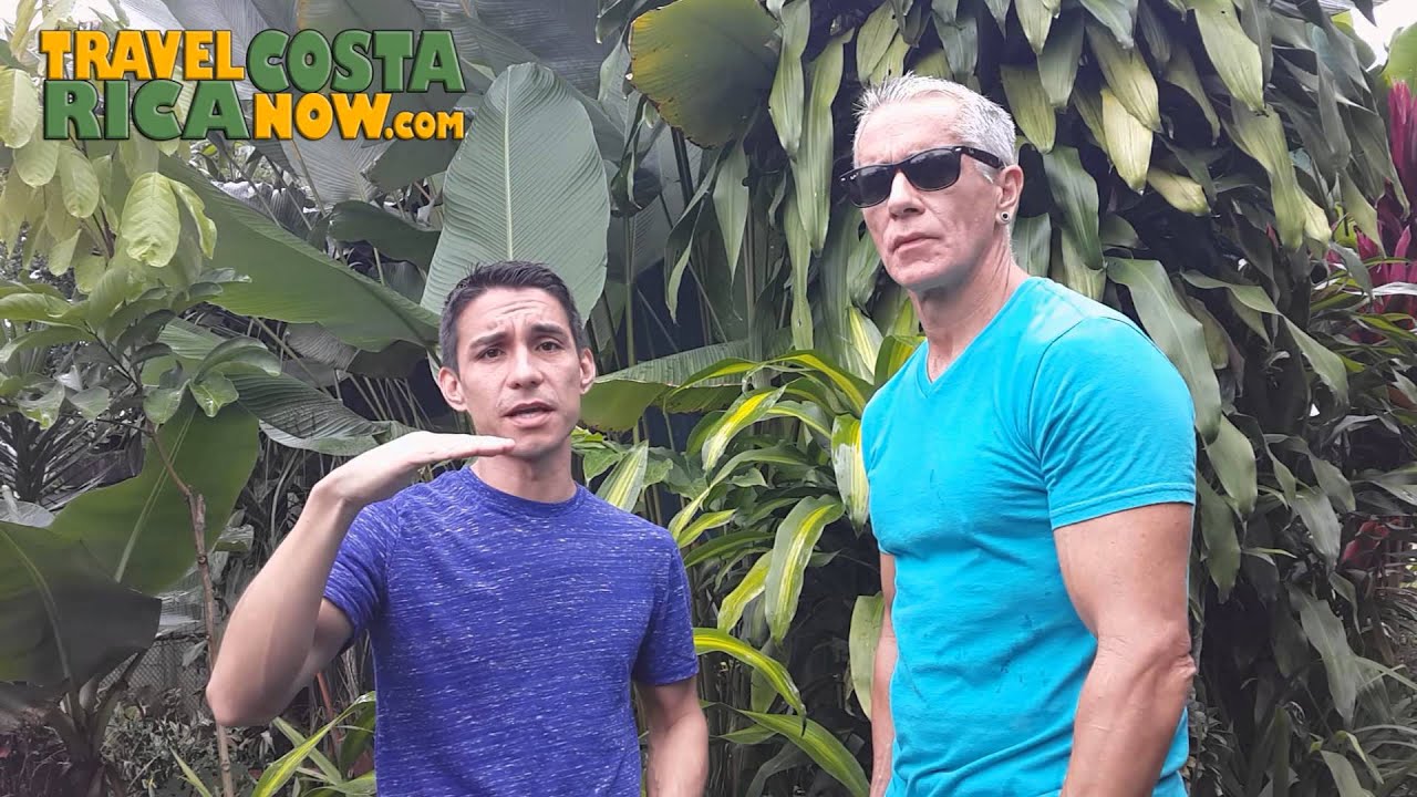 Costa Rica- Don't Call the Police Living or Travelling They Won't Do Anything - YouTube