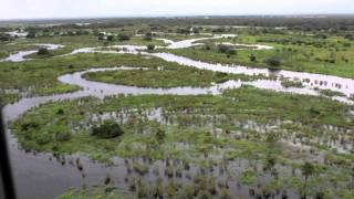 Saving the Florida Everglades with Ron Bergeron