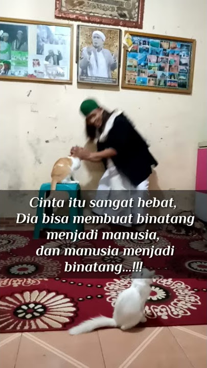 Bersalaman || Kucing Pintar disuruh duduk dan salaman