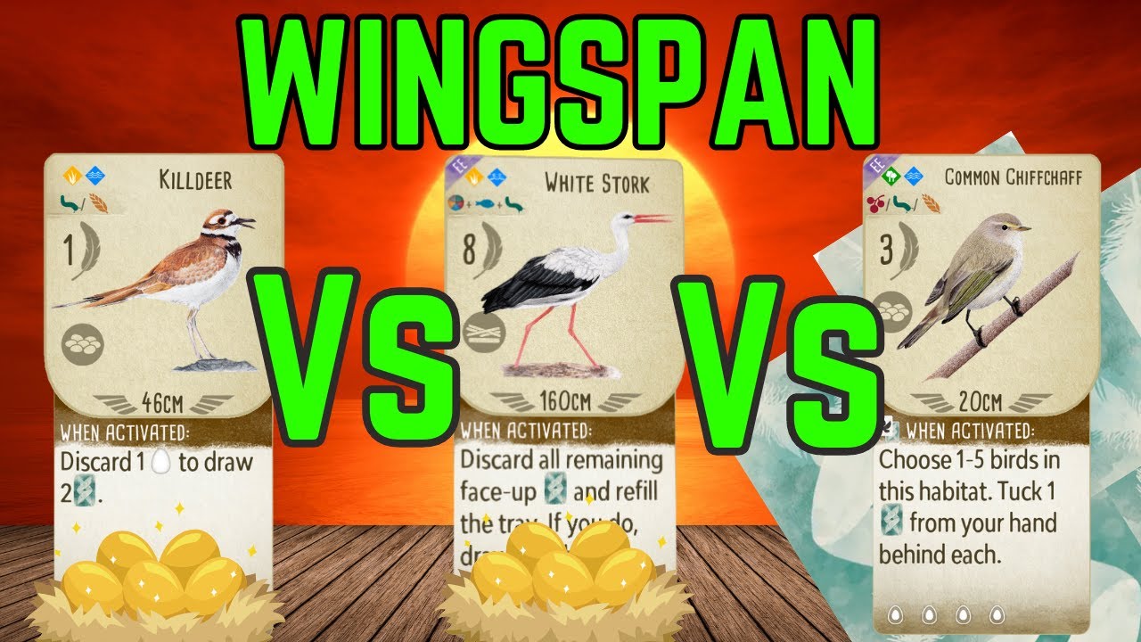 Killdeer vs White Stork vs Chiffchaff Wingspan Board Game YouTube