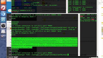 Train binary exploitation 2
