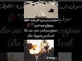 حالات وتس اب ع اغنية بعد دراسة وتعب وهمة حالات وتس اب ع اغنية بعد دراسة وتعب وهمة