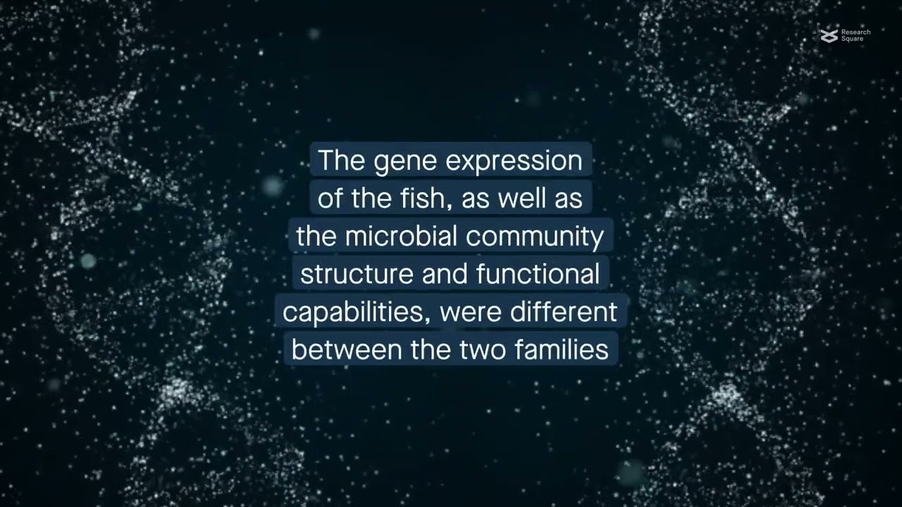 The role of the microbiome in vibriosis resistance in the Chinese tongue sole flatfish