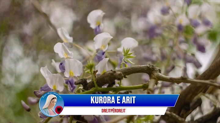 Kurora e Arit për falenderimet dhe njetet e dëgjuesve të Radio Marisë.