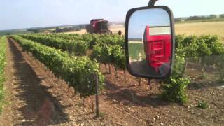 Moisson 2014