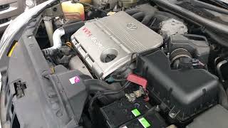 IMG 6757