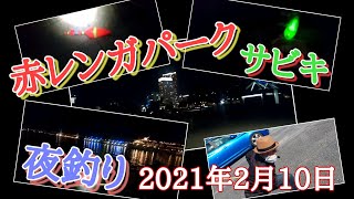 再び 赤レンガ釣り 夜釣り 横浜釣り 釣り みなとみらい釣り Youtube