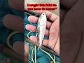 I caught this fish ! Do you know this name 📛 #rescue #fishing #fishing #viral #shorts