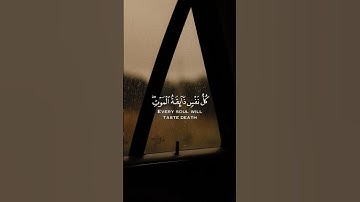 🎧 ايه من سورة العنكبوت 🤍