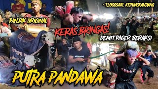 HOROR! Bantengan Kidalan PUTRA PANDAWA Semakin Kalap BRINGAS Dengan di Iring Musik Panjak Original