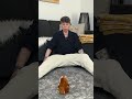 Geschenke Von Oma Sind Sehr Nervenaufreibend Elternsein Baby Oma Comedy Foryou