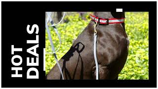 Viper Biothane Working Leads