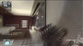 Black Ops 2:Insane Suicide Hitmaker on Raid