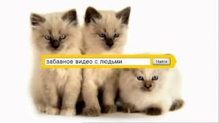 Креативная Реклама Яндекс Creative Ads Yandex