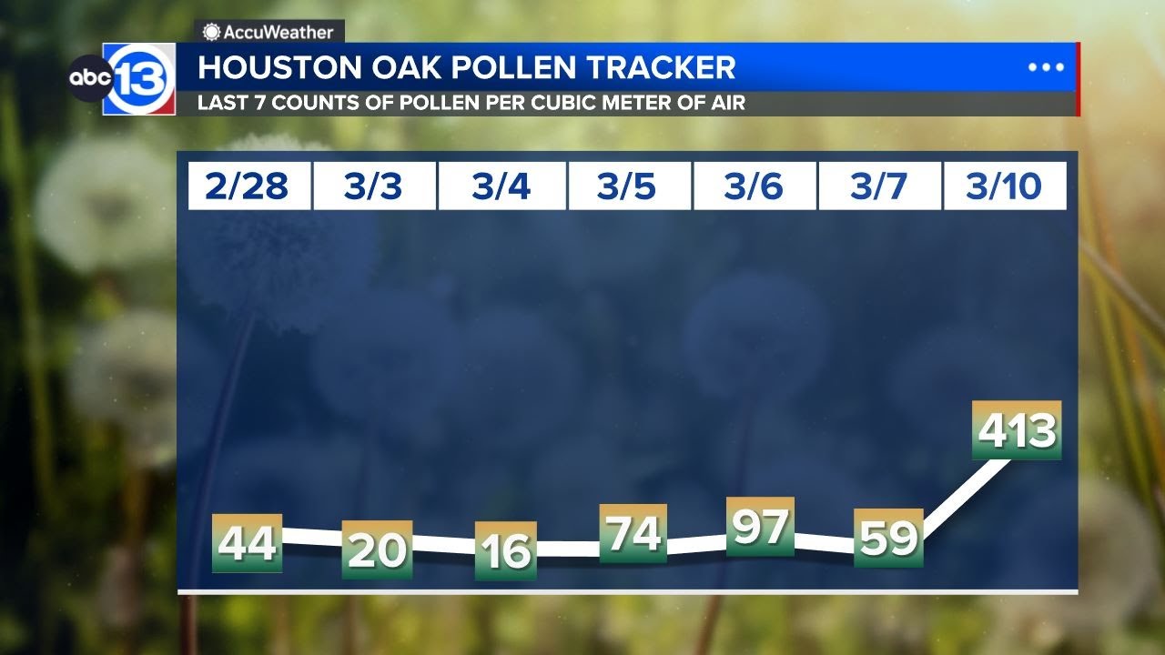 Oak pollen counts skyrocket, welcoming start of allergy season in ...
