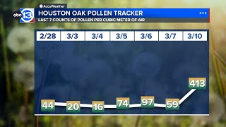 Oak pollen counts skyrocket, welcoming start of allergy season in Houston