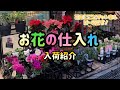 【花屋】花の入荷紹介!今回も2部構成で!最近は編集が間に合わない・・。🙇&zwj;♂️#667