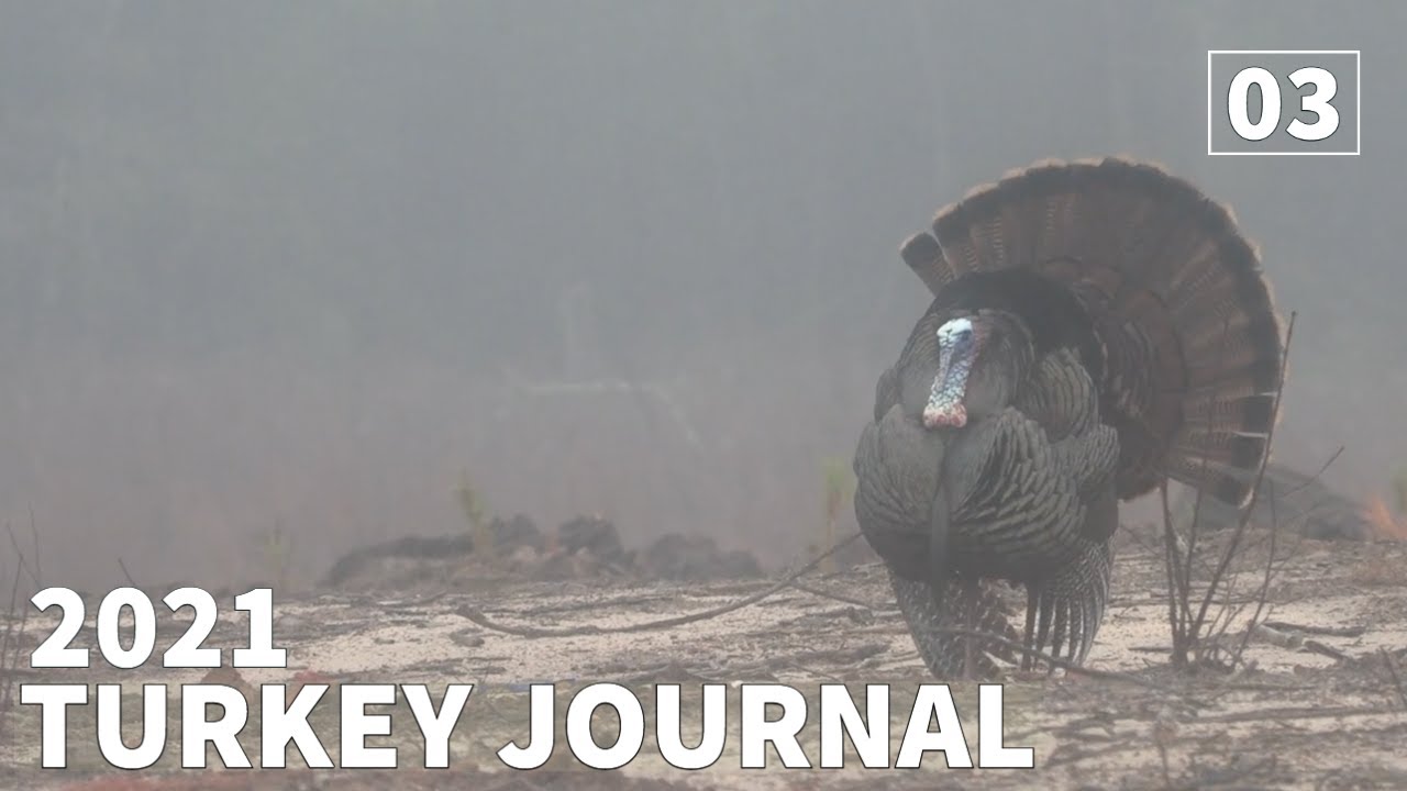 INTENSE & EMOTIONAL 2021 Spring TURKEY HUNT for a BIG STRUTTER - 2021 Turkey Journal Ep.3