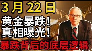 【假芒格真投资】黄金崩盘，43年最大单周暴跌！真相曝光！4大核心原因 下周一涨跌概率，普通人避坑必看