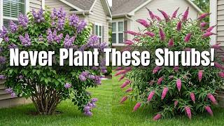 7 Small Garden Shrubs to AVOID in Small Spaces — Better Plants to Grow Instead