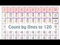 Counting by Ones Quiz