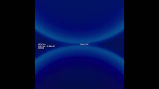 Shallou - Pacifica (Sultan + Shepard Remix)