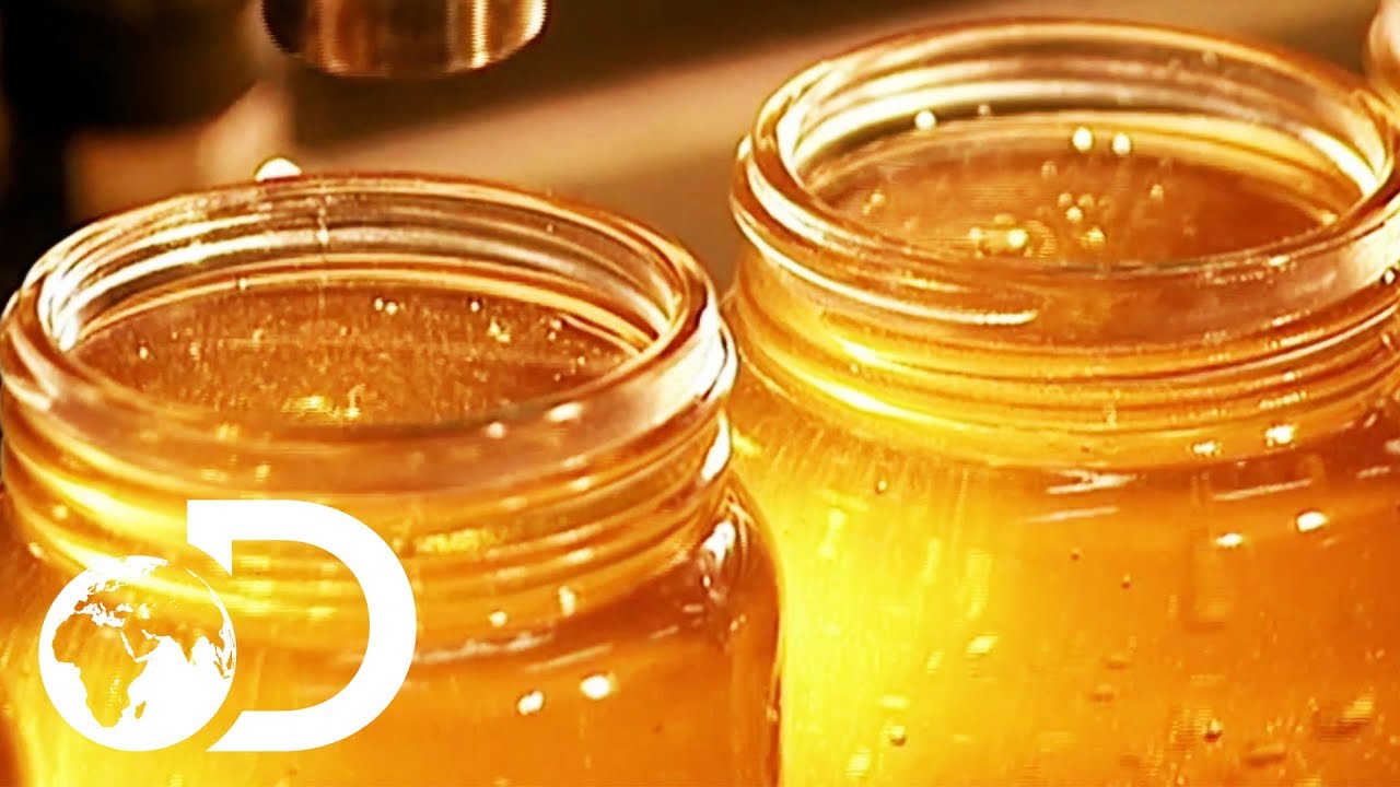 Honey | How It'S Made
