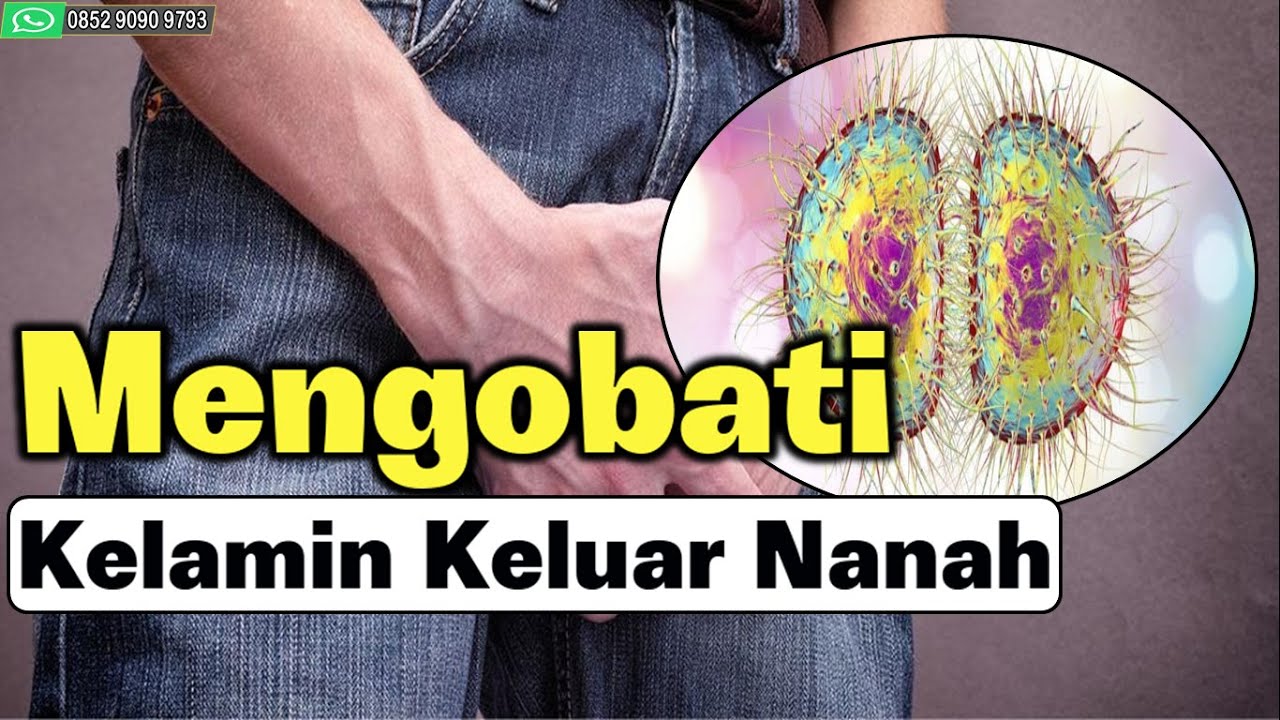 Mengobati Kelamin Keluar Nanah 
