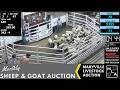 MARYVILLE LIVESTOCK | Monthly Sheep & Goat Auction #SheepAndGoats | 6.12.26