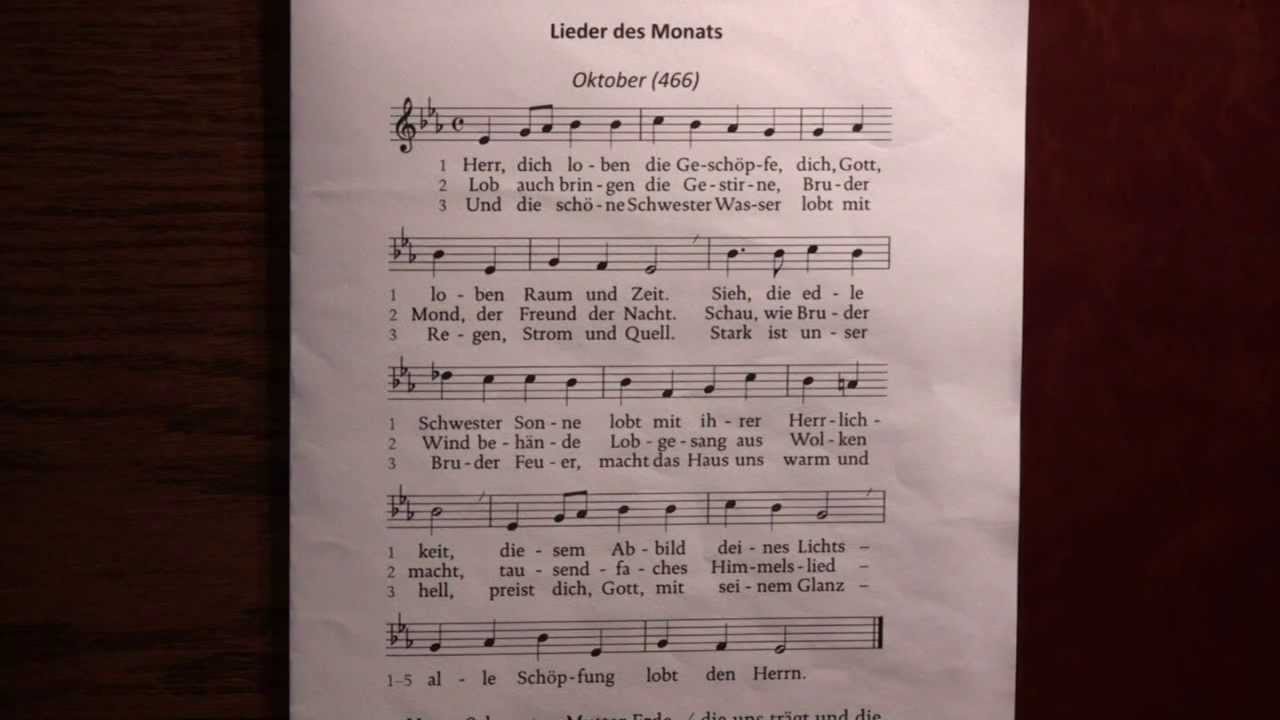 Denn Du Bist Meine Nummer 1