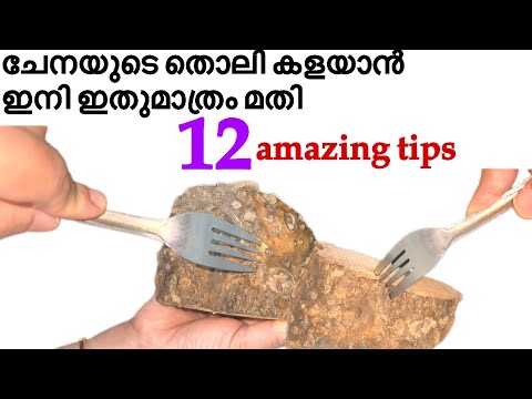 ചേനയുടെ തൊലി കളയാൻ ഇനി എന്തെളുപ്പം / 12 Incredible Tips / Yum peeling Tips & Hack